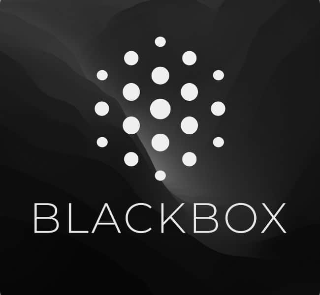 Blackbox AI